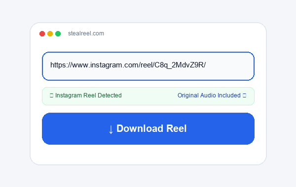 Step 2: Paste the Reel link into StealReel
